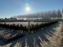 Il terreno