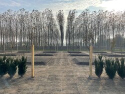 Il terreno