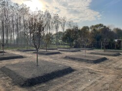 Il terreno