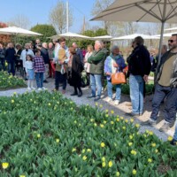 Inaugurazione Festival 2024