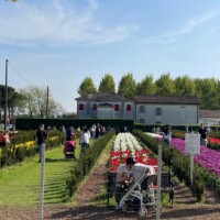 Inaugurazione Festival 2024