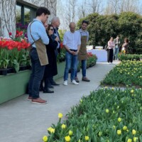 Inaugurazione Festival 2024