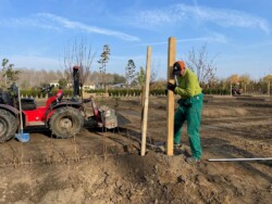 La preparazione del terreno
