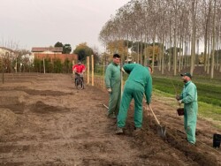 La preparazione del terreno