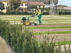 La preparazione del terreno