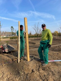 La preparazione del terreno