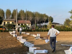 La semina dei bulbi