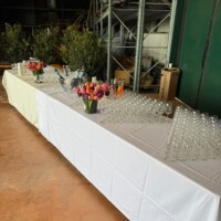 Inaugurazione 2025